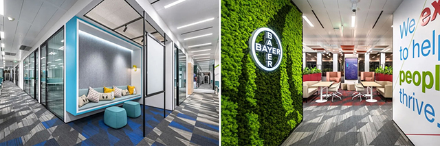 廣州名杰裝飾設(shè)計(jì)公司圖冊